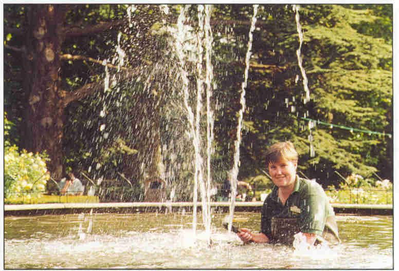 Warwick castle fountain treated with Ecotreat Clarity Pro