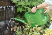 Ecotreat Clarity - pouring contents of watering can over the pond surface